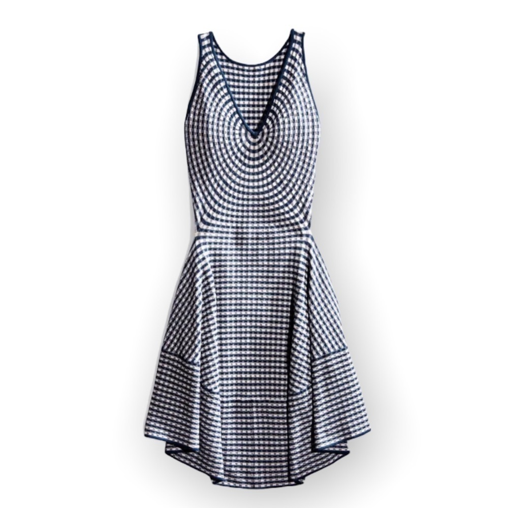 Jonathan Simkhai radial gingham fit and flare white and blue dress